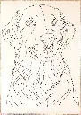Chien Golden
