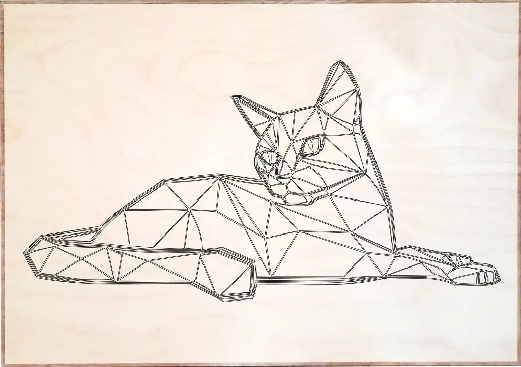 Chat Polygones