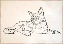 Chat Polygones