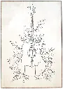 Guitare acoustique