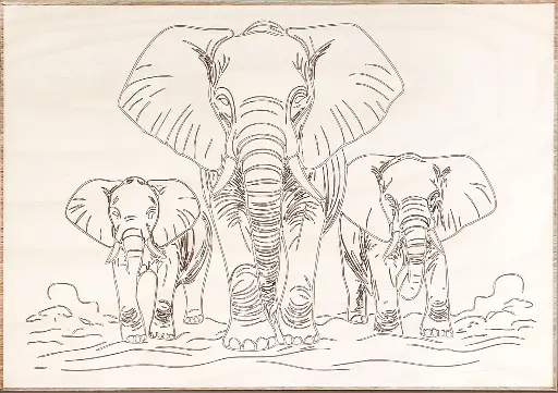 Éléphants