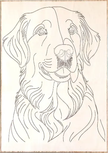 Chien Golden
