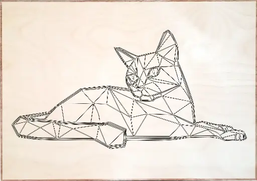 Chat Polygones